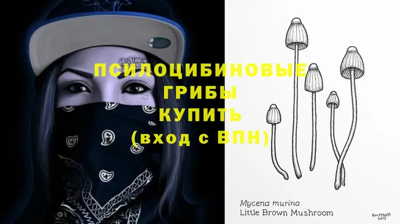 Псилоцибиновые грибы ЛСД  OMG ССЫЛКА  Усолье-Сибирское  купить  